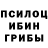 Галлюциногенные грибы прущие грибы Noah Murray