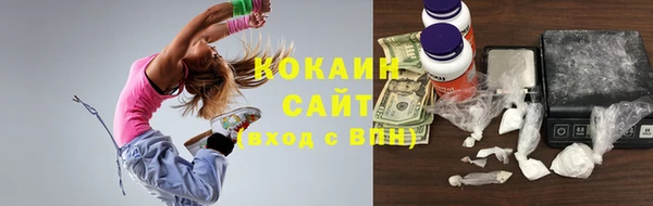 индика Ступино