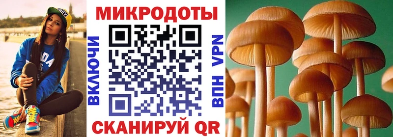 где продают   Бородино  Галлюциногенные грибы мицелий 